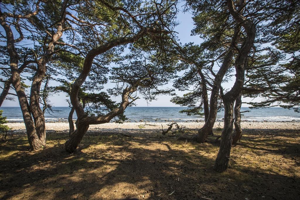 Stf Hagaby/Lantgarden Hostel Löttorp Dış mekan fotoğraf