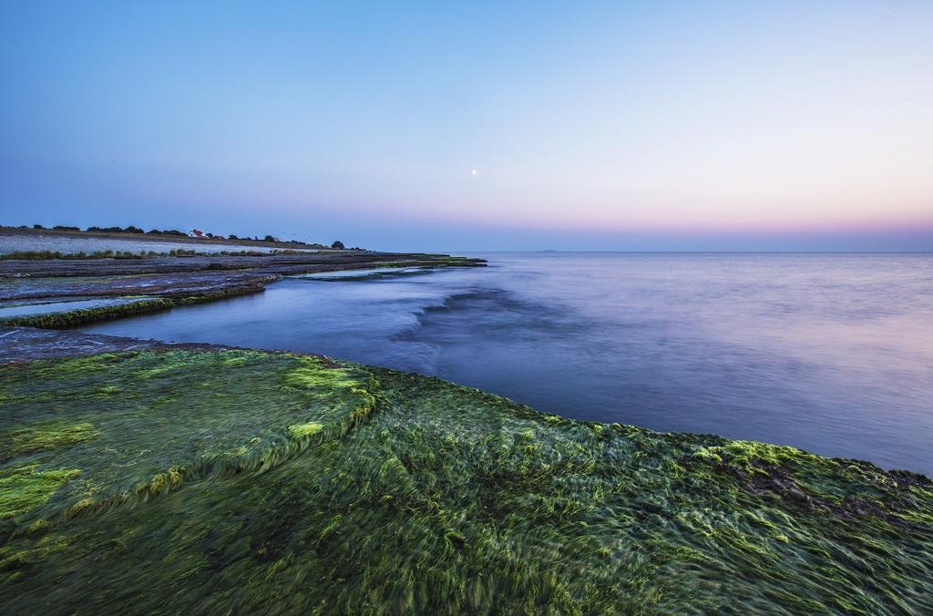 Stf Hagaby/Lantgarden Hostel Löttorp Dış mekan fotoğraf