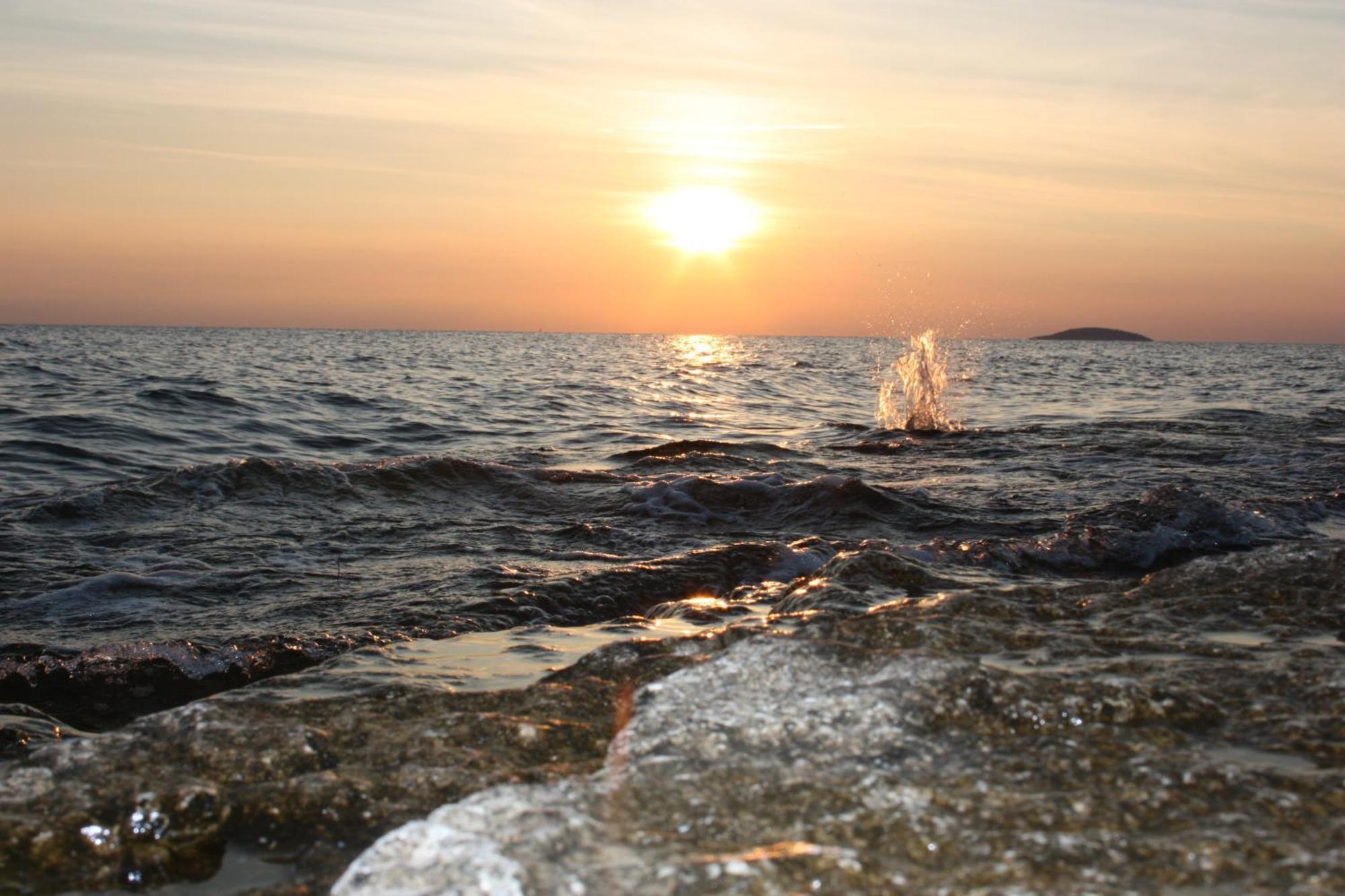 Stf Hagaby/Lantgarden Hostel Löttorp Dış mekan fotoğraf