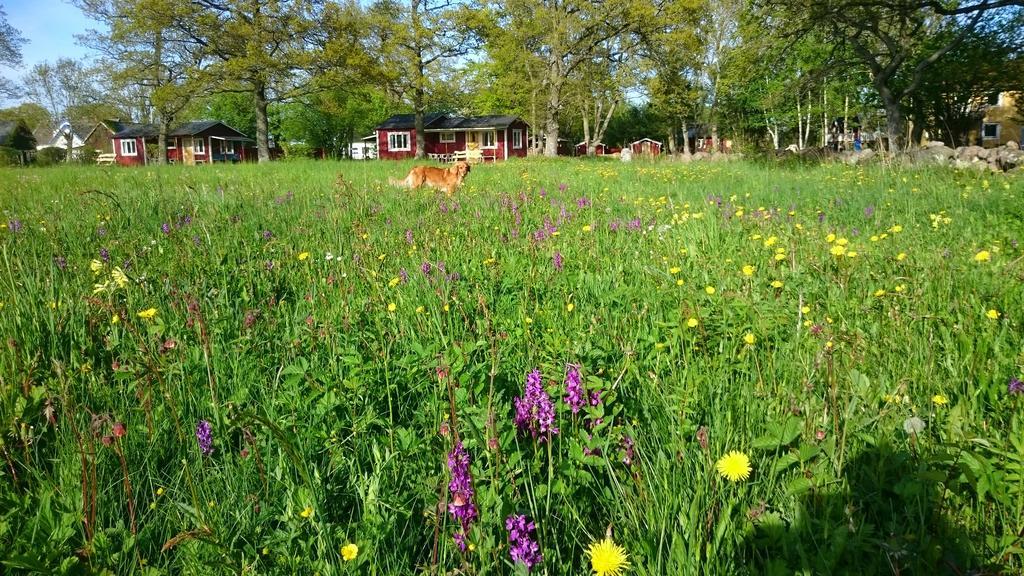 Stf Hagaby/Lantgarden Hostel Löttorp Dış mekan fotoğraf